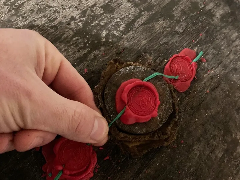 meilleur vigneron Charente-Maritime vigneron winery Charente Maritime