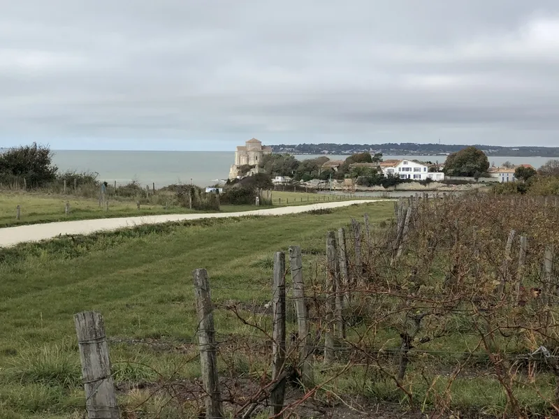 meilleur vigneron vin bio en Charente Maritime vignerons bio Charente Maritime meilleurs domaines biodynamie Charente Maritime