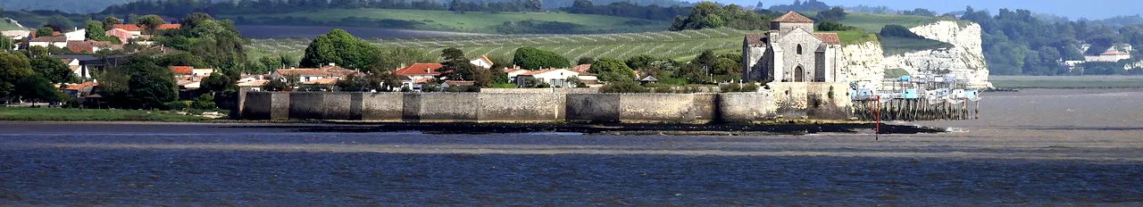 vue sur l'estuaire et la falaise du Caillaud. Vignes les Hauts de talmont, vin bio 17, domaine bio 17