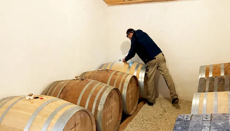 Inventaire des eaux de vie, les hauts de talmont, cognac Stuaire, XO et VSOP