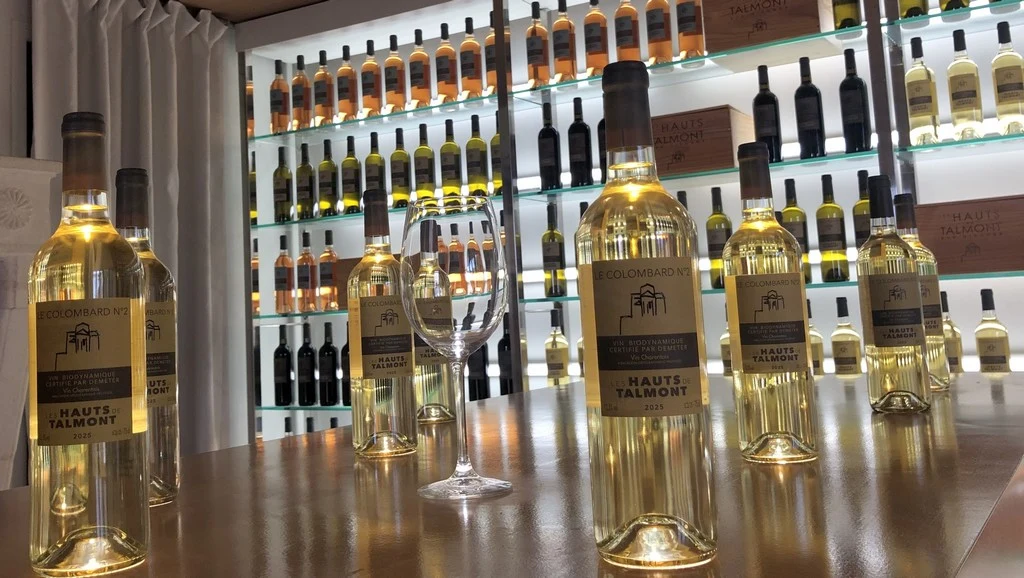 colombard-numero-deux-dans-la-boutique-des-hauts-de-talmont