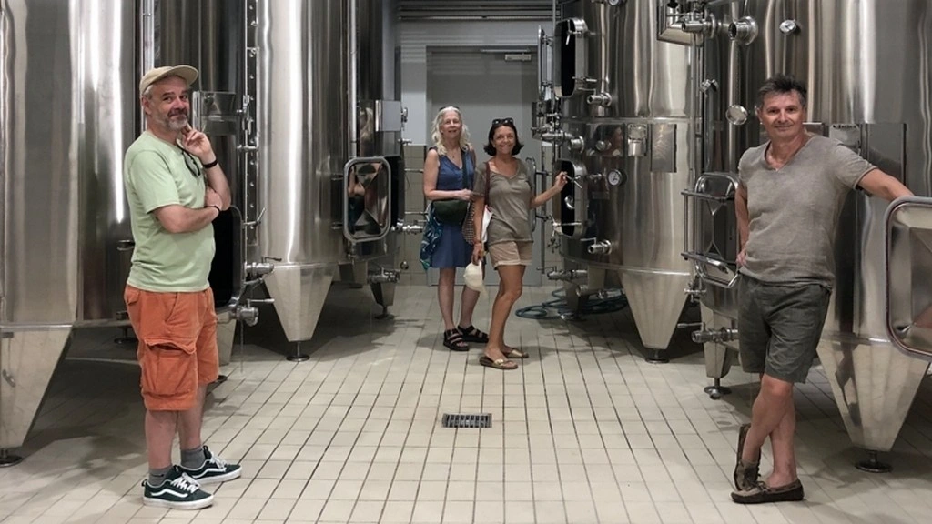 Portes Ouvertes au Vignoble Les Hauts de Talmont avec visite de nos chais