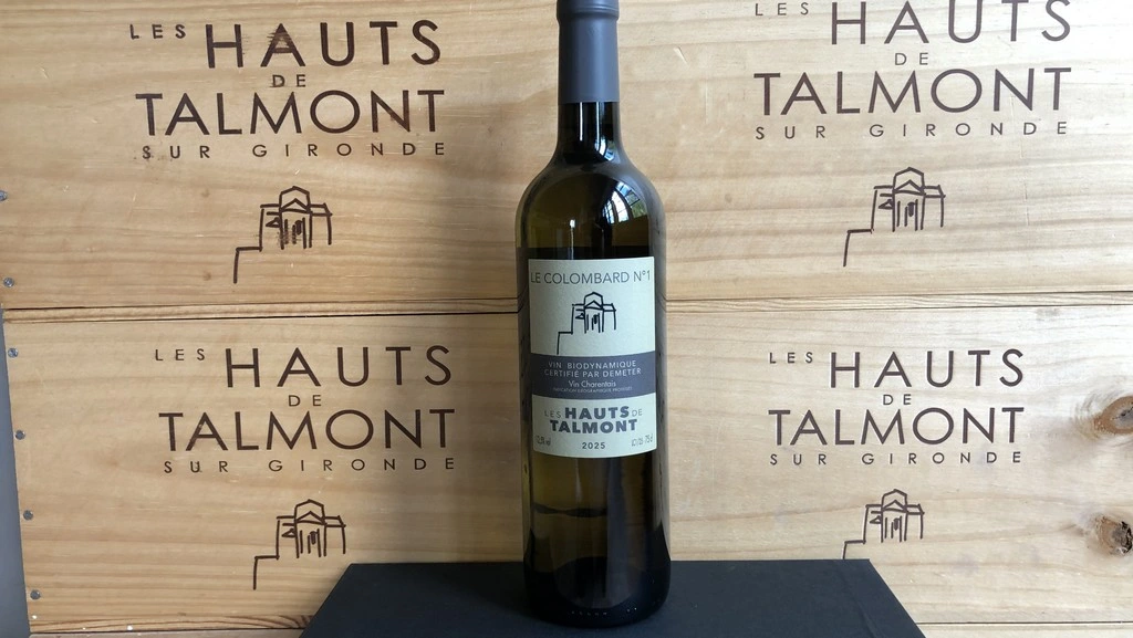 Lancement du vin blanc Colombard N°1 millésime 2025 du Vignoble Les Hauts de Talmont