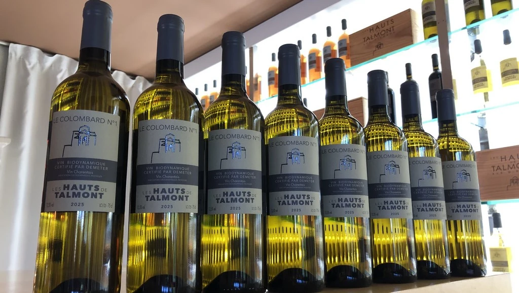 le vin blanc Colombard N°1 millésime 2025 du Vignoble Les Hauts de Talmont
