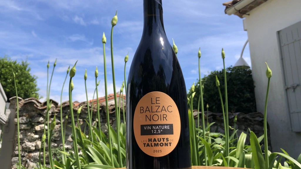 balzac-noir-vin-nature-millesime-2025-vignoble-les-hauts-de-talmont-dans-le-jardin