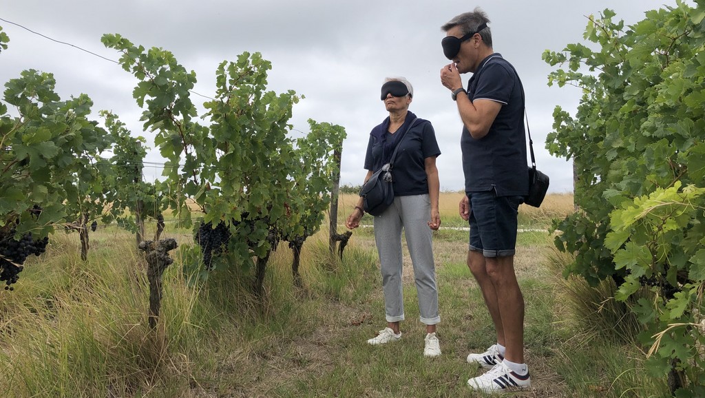 experience-geo-sensorielle-au-vignoble-les-hauts-de-talmont-parcours-dans-la-vigne